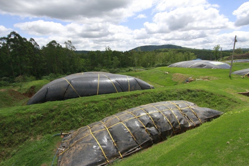 Produ��o de biog�s purificado � proveniente da utiliza��o de res�duos org�nicos  