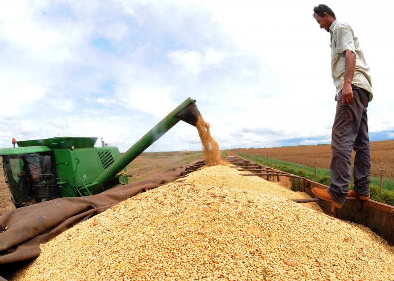 Na soja, principal lavoura do País, queda da colheita nacional foi de 2%