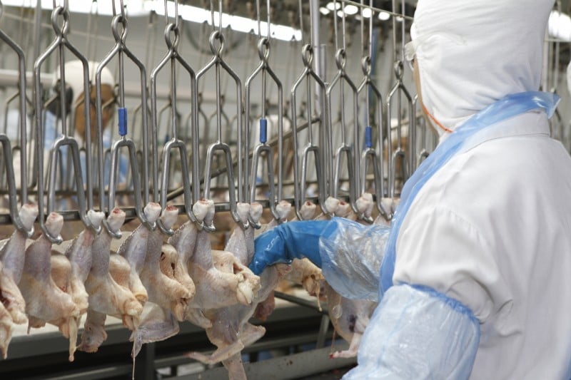 Carne de frango foi um dos destaques entre itens que geraram mais receita, devido aos preços