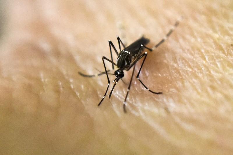 Profissional busca identificar e evitar focos do Aedes aegypti