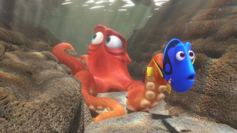 A personagem, um peixe cuja mem�ria falha, surgiu no longa de anima��o Procurando Nemo, de 2003