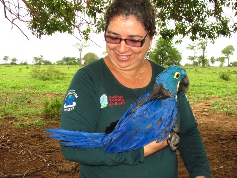 Pesquisadora Neiva Guedes com um exemplar de Arara Azul