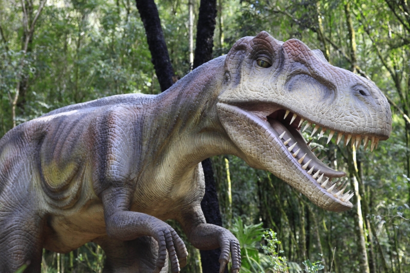 Parque tem�tico promove passeio entre r�plicas de dinossauros