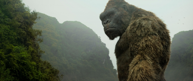 Em novo filme, exploradores invadem ilha de macaco gigante