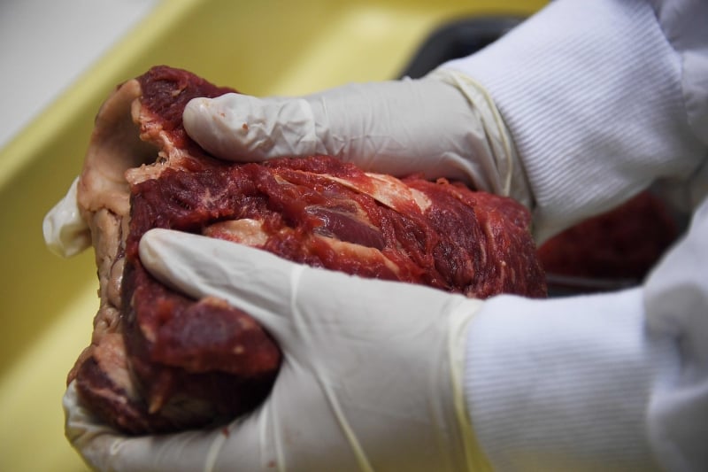 Experts get ready for analyzing animal meat seized in different markets in Rio de Janeiro, Brazil, on March 20, 2017, following a police investigation reporting allegations that corrupt exporters sold tainted products.
After two years of investigations within the 
