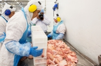 Uni�o Europeia pro�be importa��o de 20 frigor�ficos brasileiros a partir de amanh�