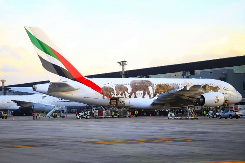 Airbus 380 da Emirates Airlines chega para ocupar espaço aberto com fim dos voos da Etihad Airways