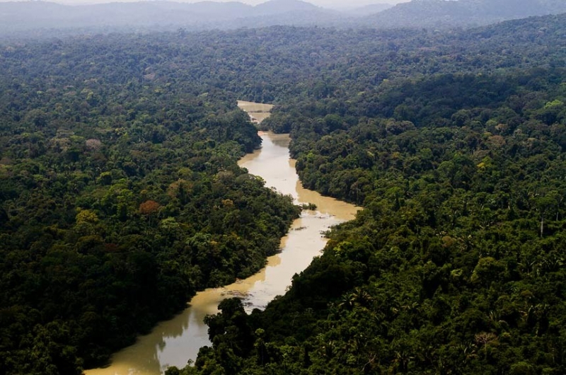 Vista a�rea do Parque Nacional do Jamanxim, no Par�, que � uma das �reas em exame