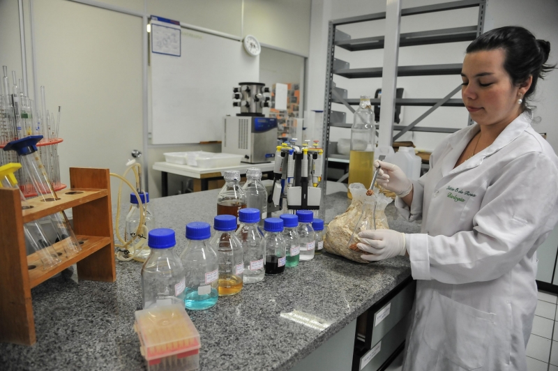 Doutoranda Letícia fez parte do desenvolvimento do novo material ecológico no laboratório da UCS