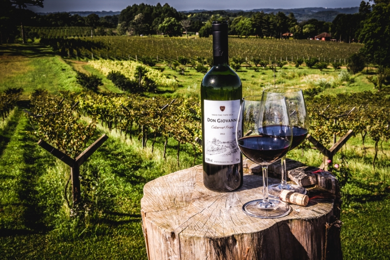 Uvas Cabernet Franc, Merlot e Ancelota comp�em os vinhos tranquilos produzidos na vin�cola