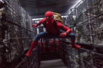 Em outras teias: Homem- Aranha de volta ao lar estreia no cinema