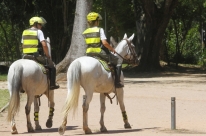 Animais que atuaram na seguran�a poder�o ser adotados por oficiais no Rio Grande do Sul